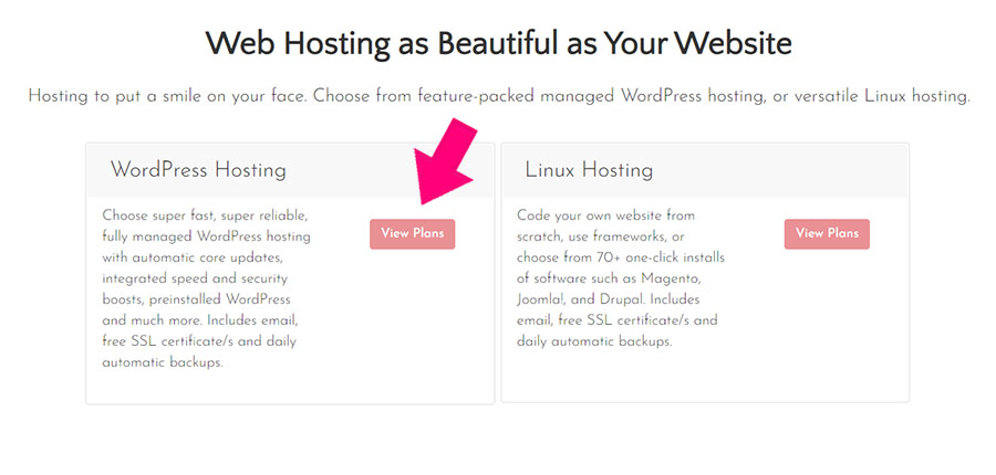 Screenshot of Lyrical Host WordPress Hosting